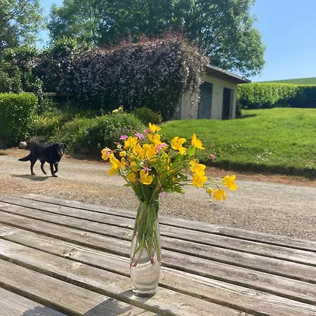 Daisys Rest Redcross