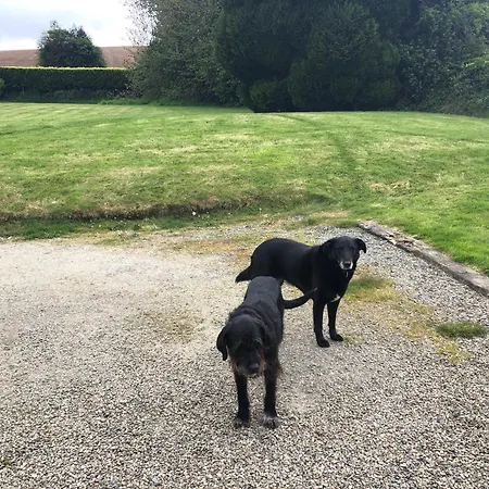 Σπίτι διακοπών Daisys Rest *