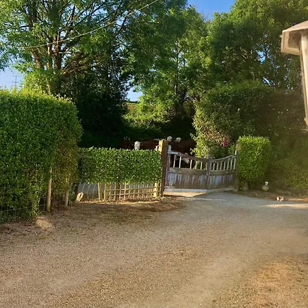 Daisys Rest Holiday home
