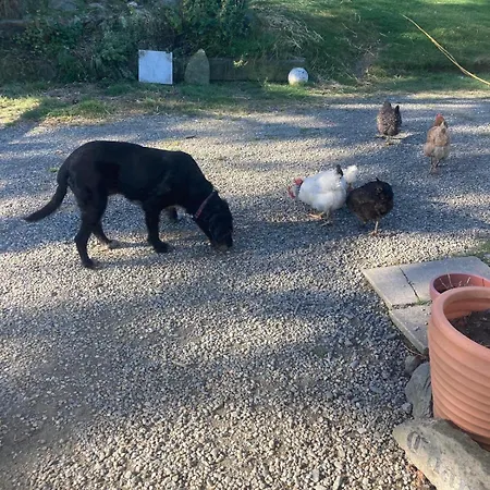 Daisys Rest Casa de Férias Redcross