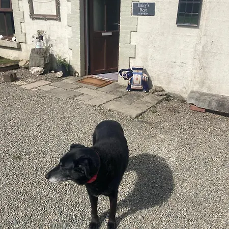 Daisys Rest Σπίτι διακοπών *